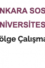 Ankara Sosyal Bilimler Üniversitesi Bölge Çalışmaları Enstitüsü