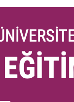 Mardin Artuklu Üniversitesi Lisansüstü Eğitim Enstitüsü