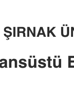 Şırnak Üniversitesi Lisansüstü Eğitim Enstitüsü