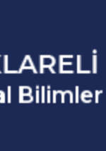 Kırklareli Üniversitesi Sosyal Bilimler Enstitüsü